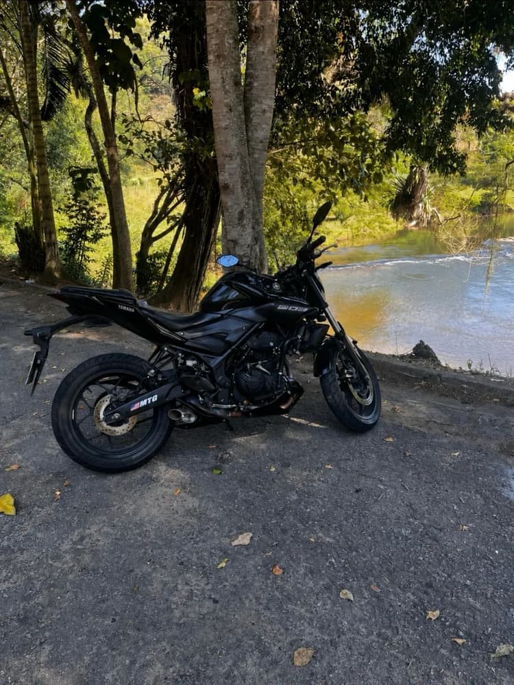 MT03 