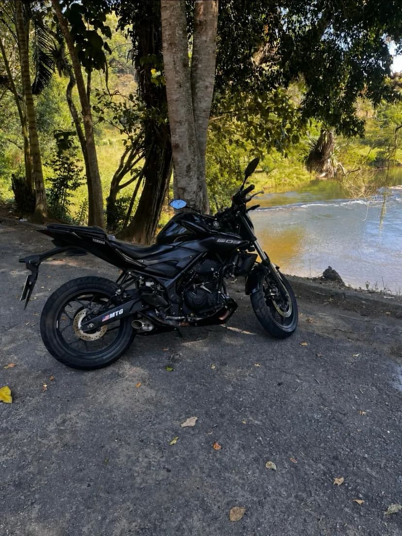 MT03 