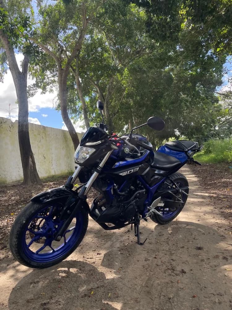 MT 03 2019