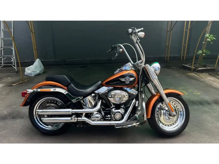 Harley-davidson Fat boy flstf 2015