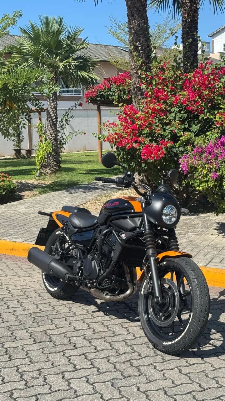 Eliminator 500 S 2025 