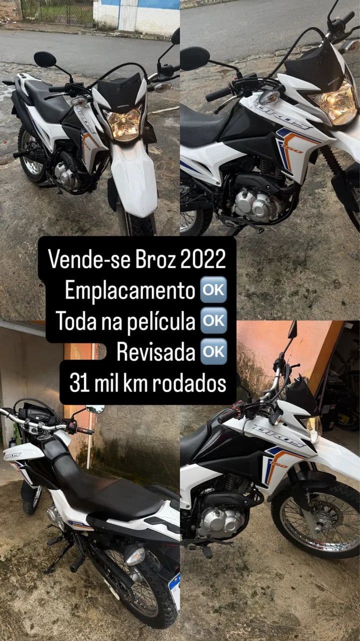 Broz 2022 