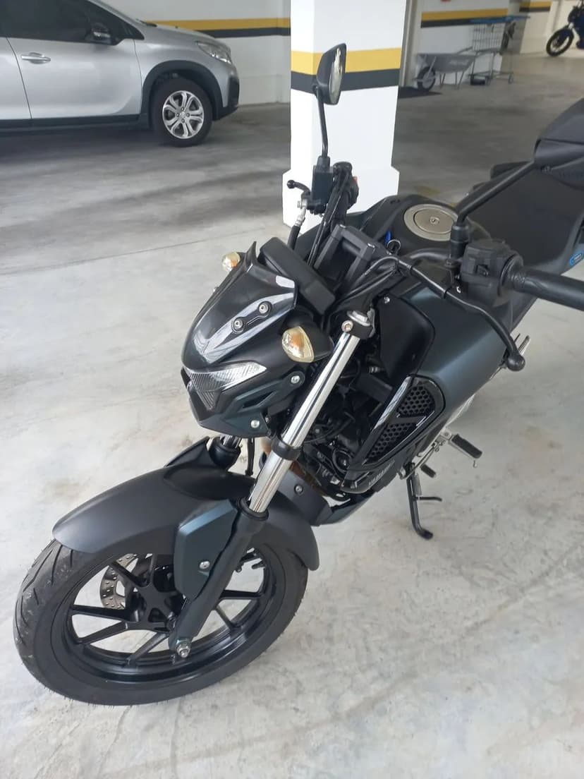 Fz15 2025