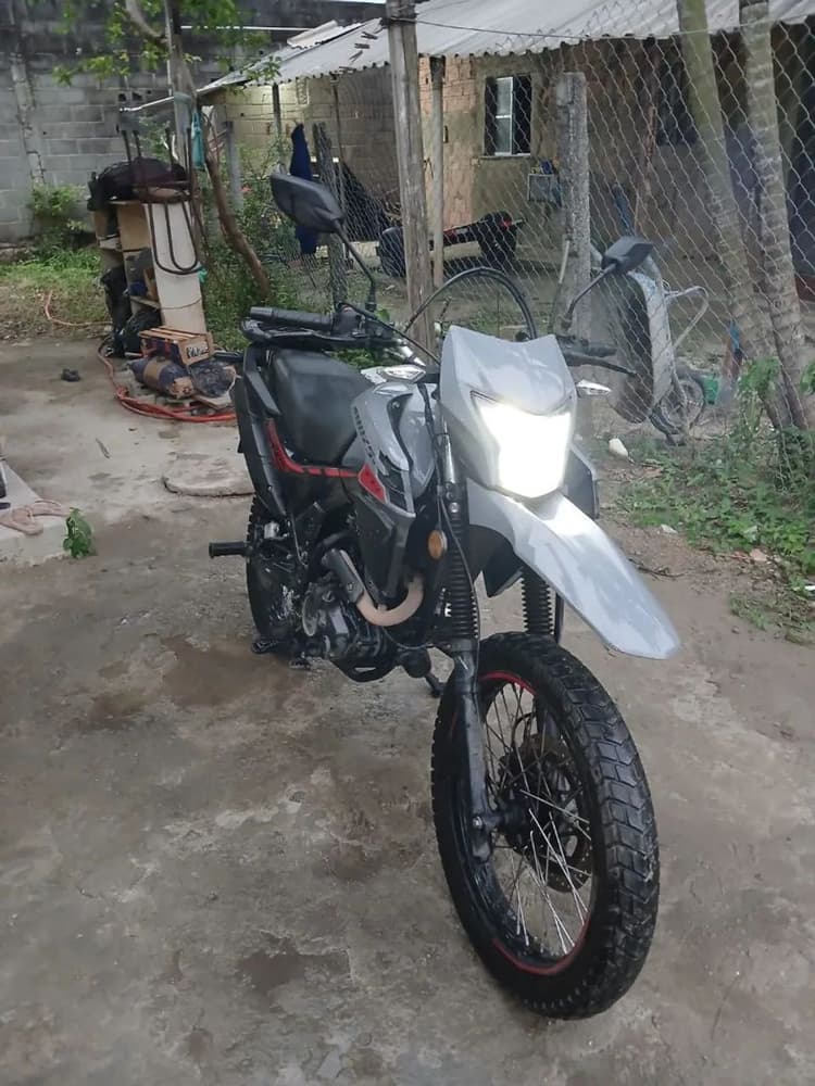 Shi175 efi 2026