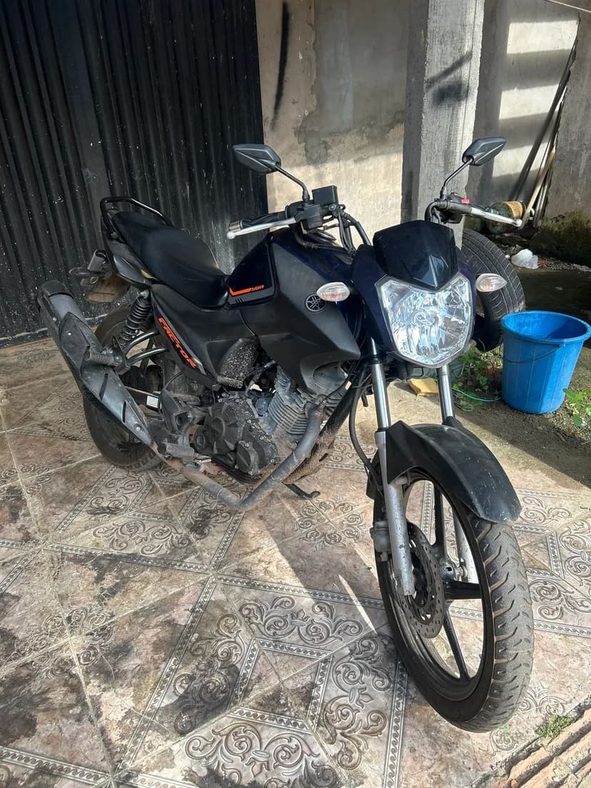 Factor 150 2024 