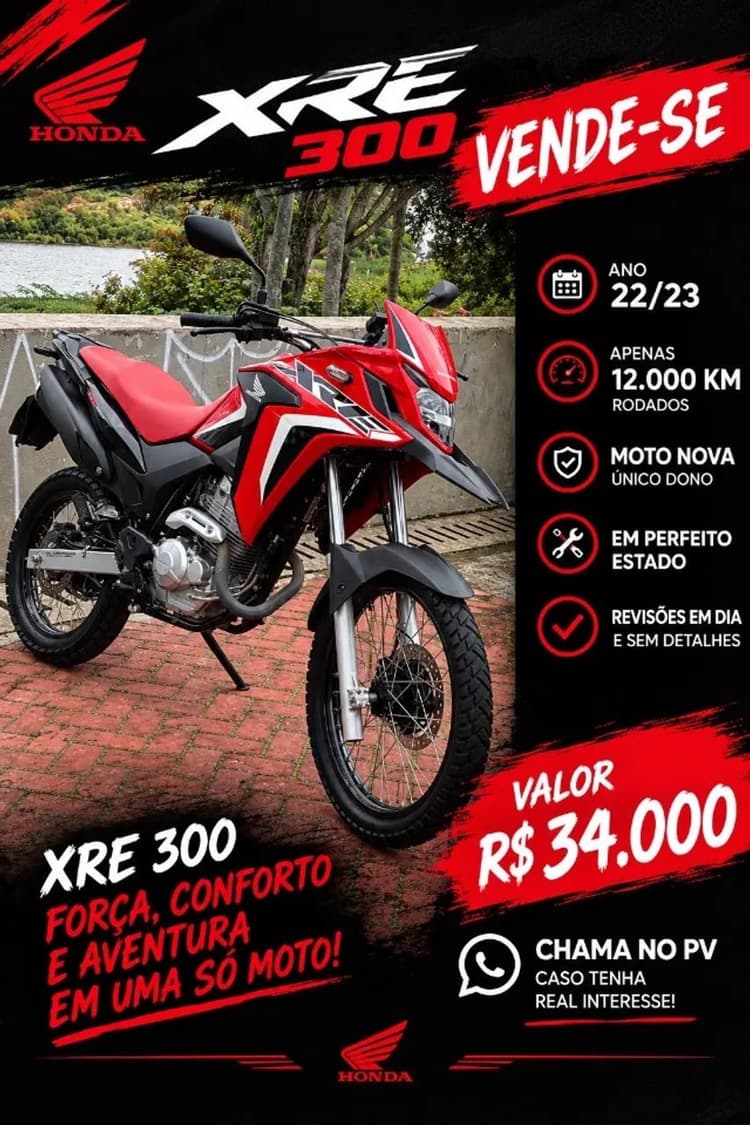 XRE 300 Rally 
