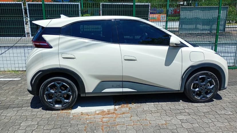 BYD Dolphin Mini (Elétrico) 2026