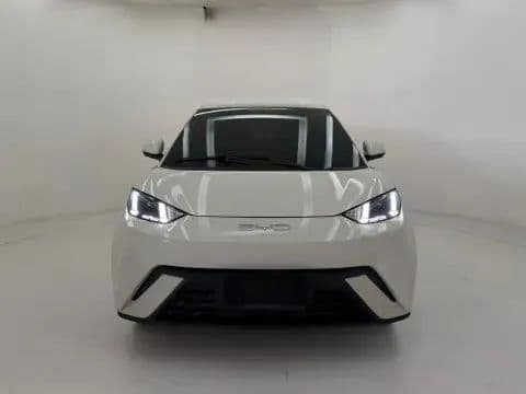 BYD Dolphin Mini (Elétrico) 2023