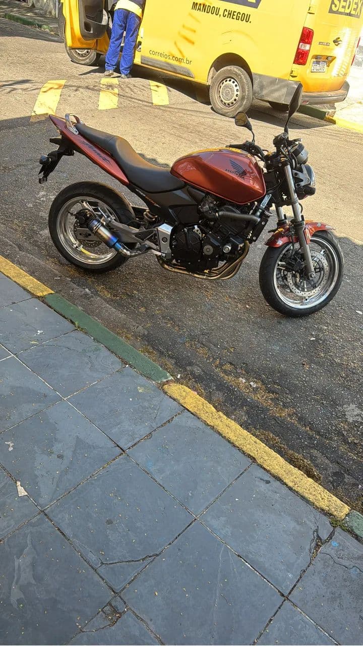 Hornet 