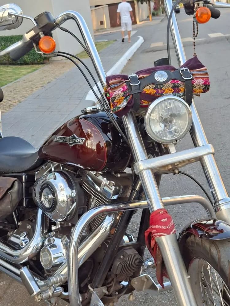 Harley Davidson Dyna super glide custom 2010