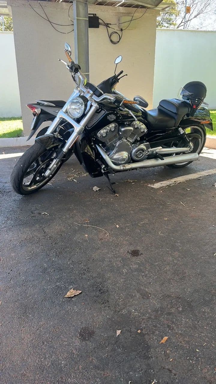 Harley Vroud 2014