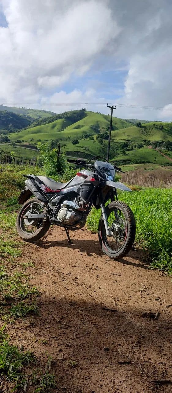 Shi 175 EFI 