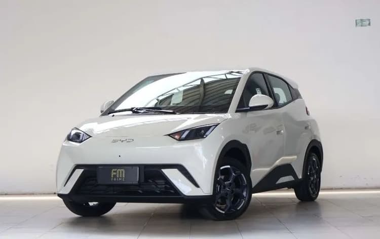 BYD Dolphin Mini (Elétrico) 2027