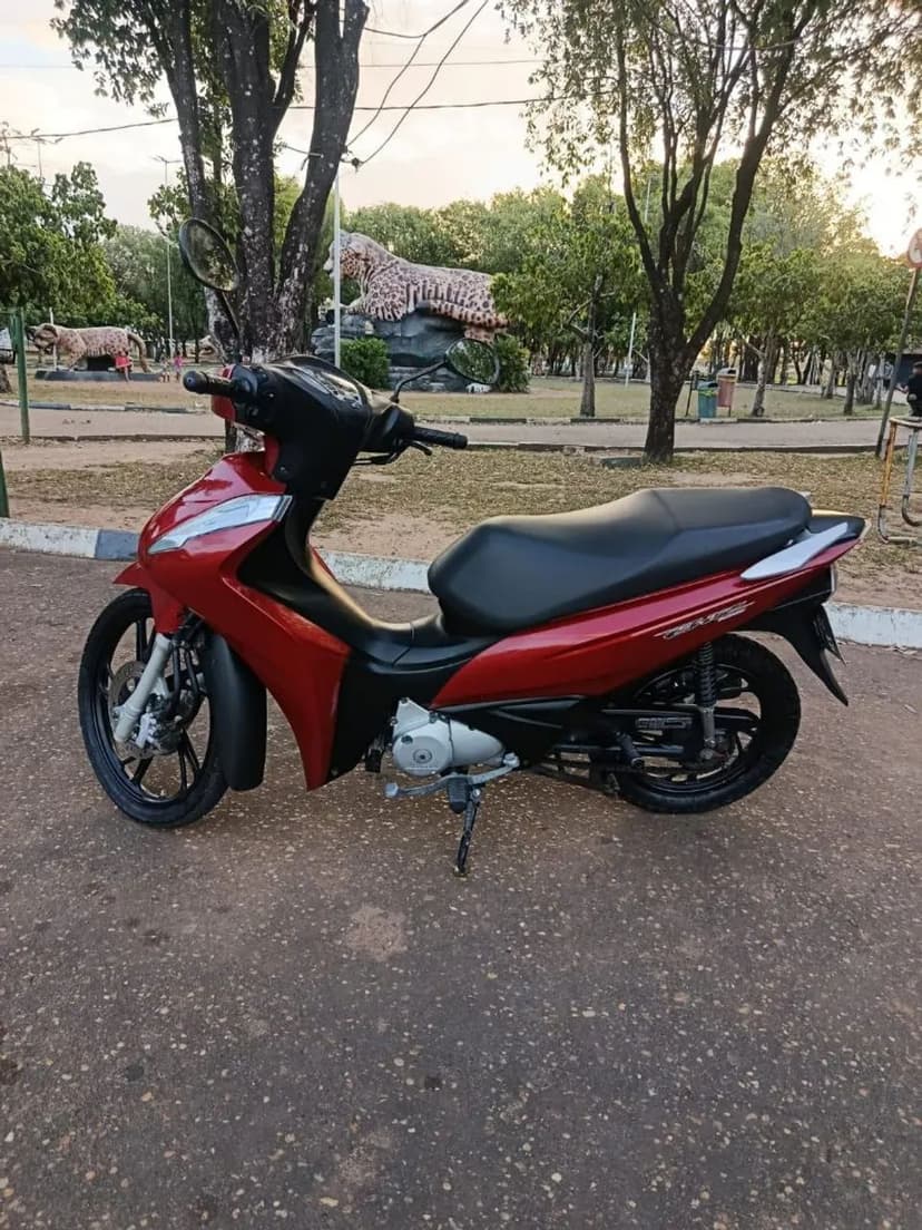 OPORTUNIDADE 