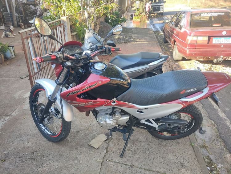 Vende-se falcao