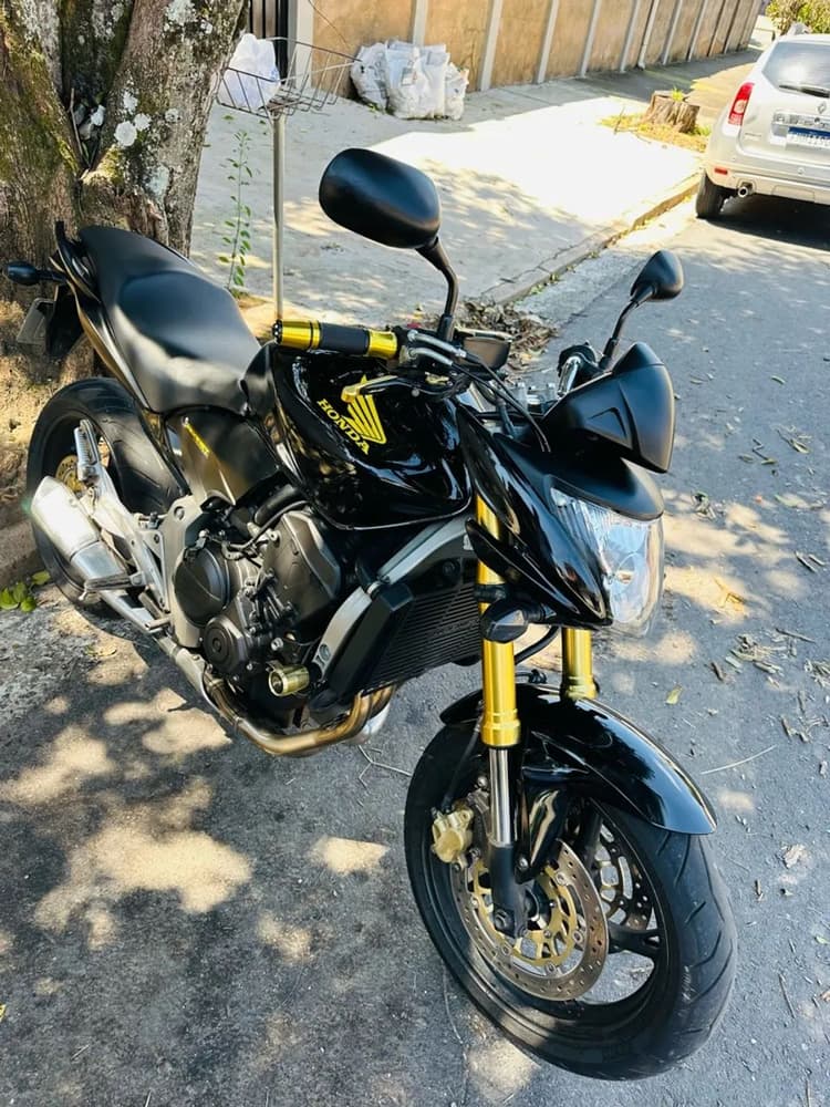 Hornet 2010