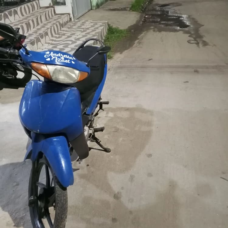 Motinha 