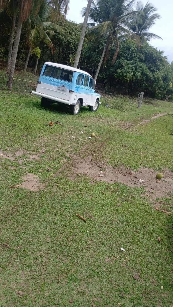Ford Willys Rural 4X2 1968