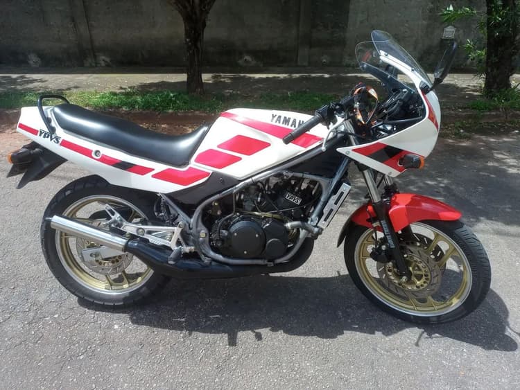 RD350 Padrão Original Branco Perolizada