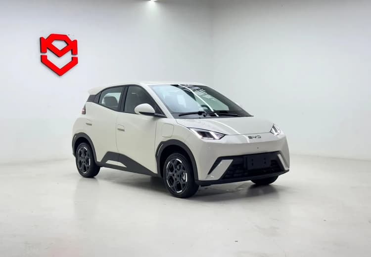 BYD Dolphin Mini (Elétrico) 2027