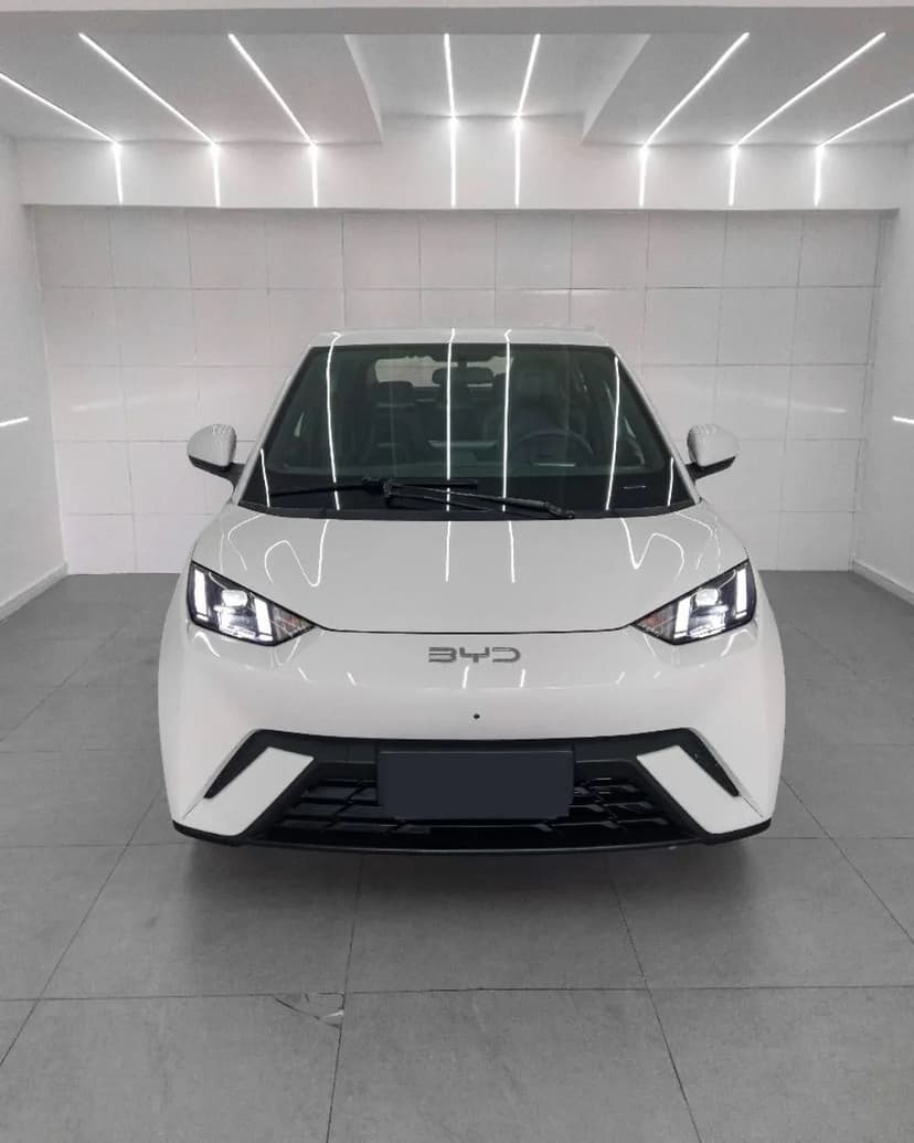 BYD Dolphin Mini (Elétrico) 2025