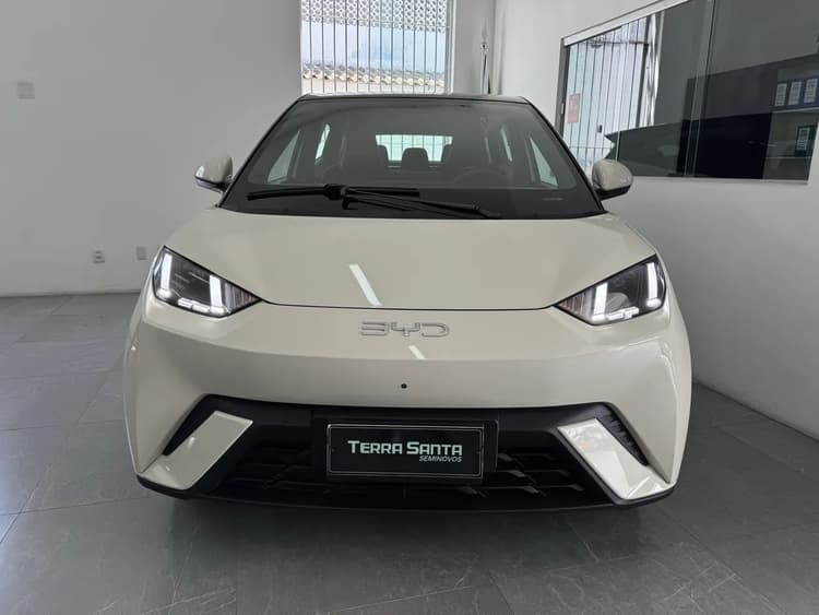 BYD Dolphin Mini (Elétrico) 2027