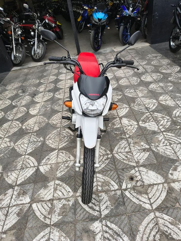POP 110I 2022