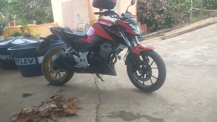 Vendo 31995309039