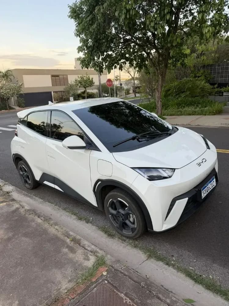 BYD Dolphin Mini (Elétrico) 2025