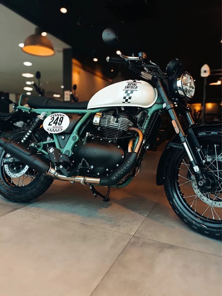 Bear 650 - Danielle 