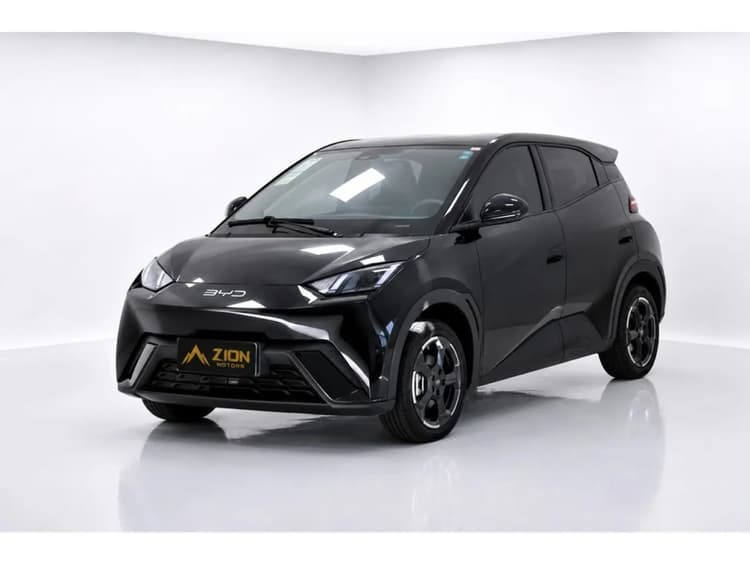 BYD Dolphin Mini (Elétrico) 2024
