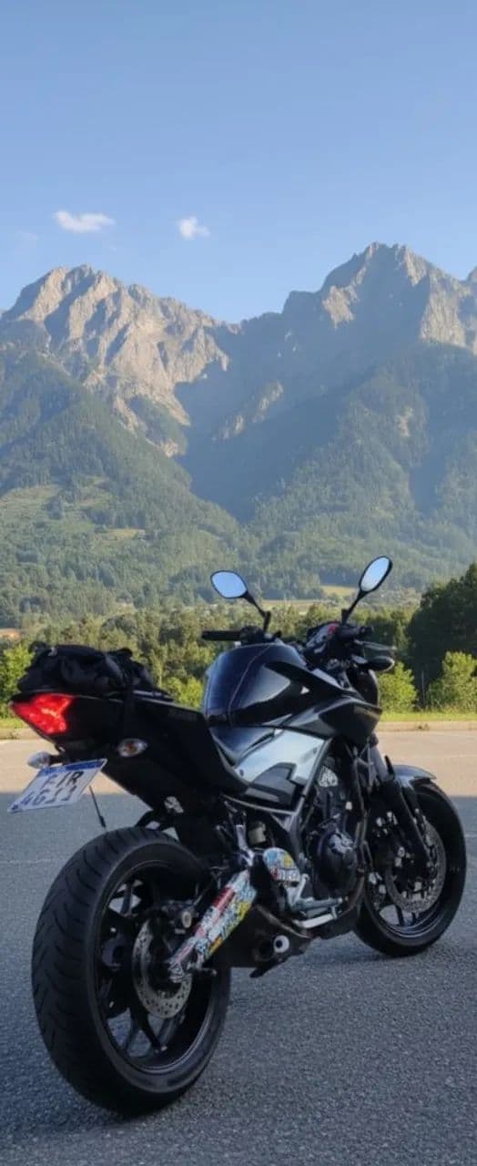 MT03