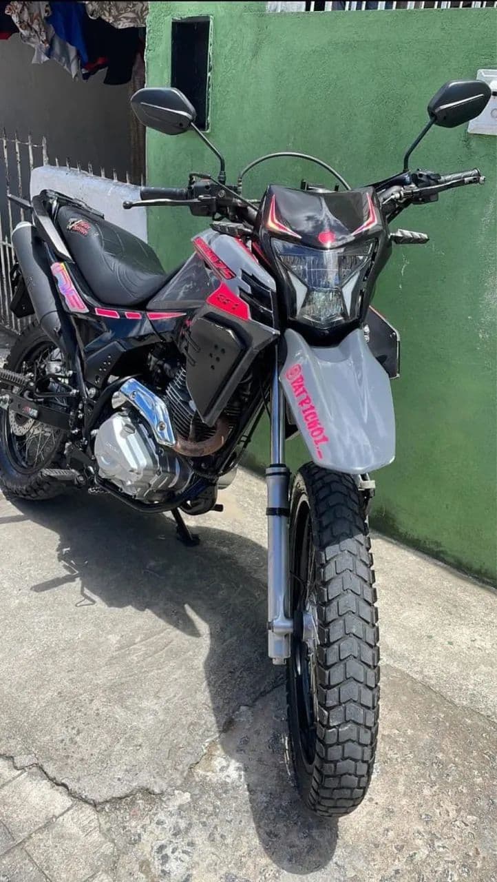 SHI 175 - ANO 2024
