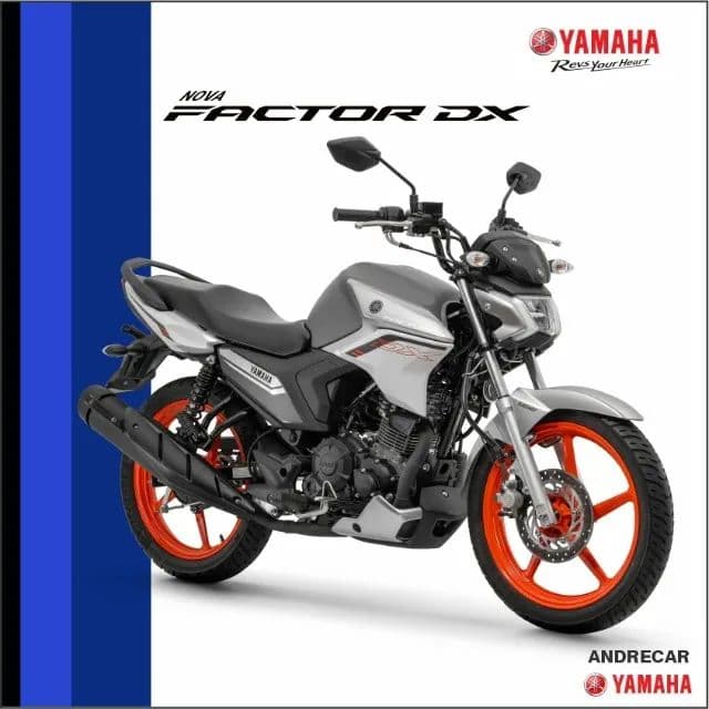 Factor 150 DX