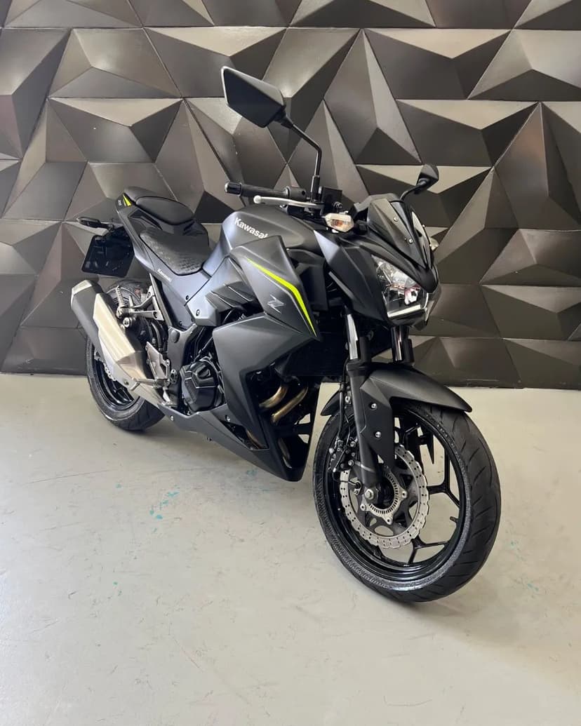 Z 300