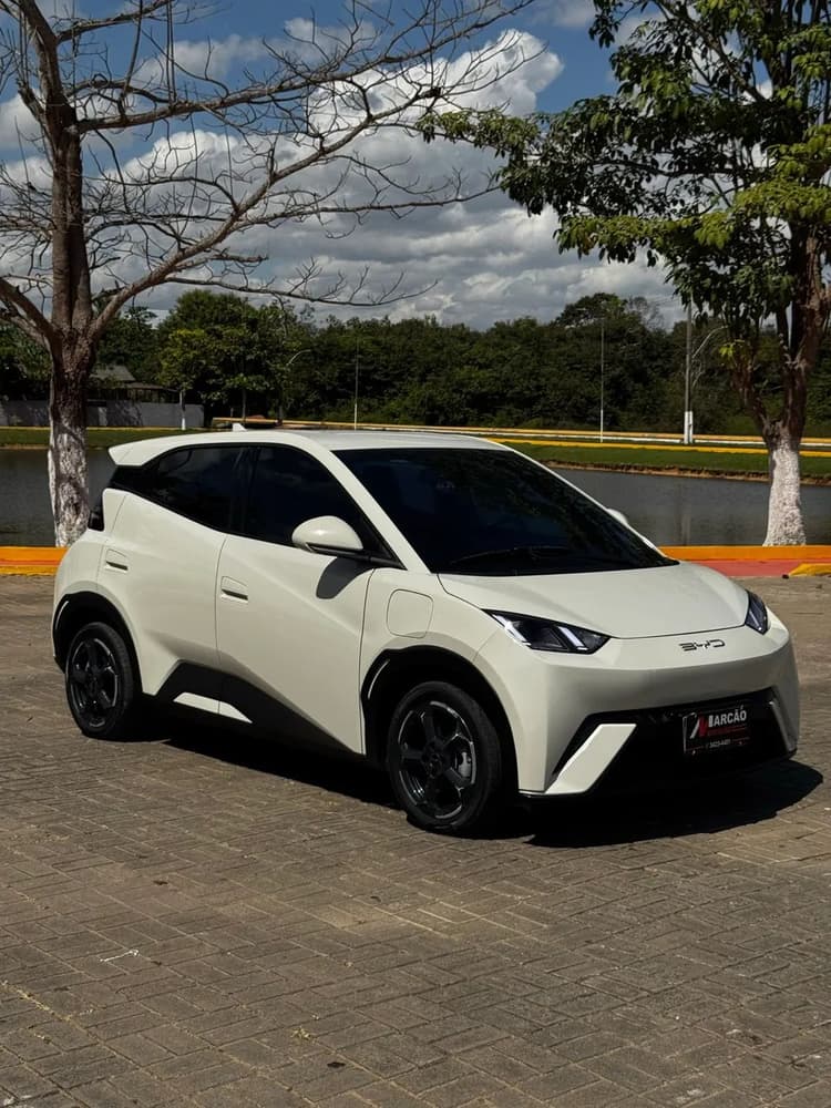 BYD Dolphin Mini (Elétrico) 2025
