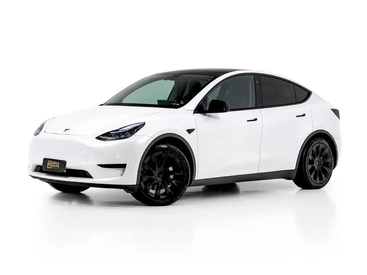Tesla Model Y Performance 2021