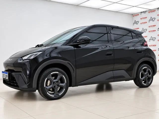 BYD Dolphin Mini (Elétrico) 2025