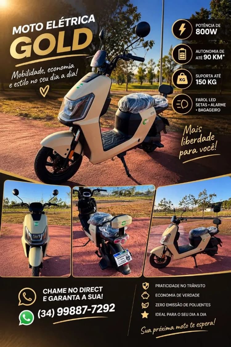 MOTO ELÉTRICA 800W