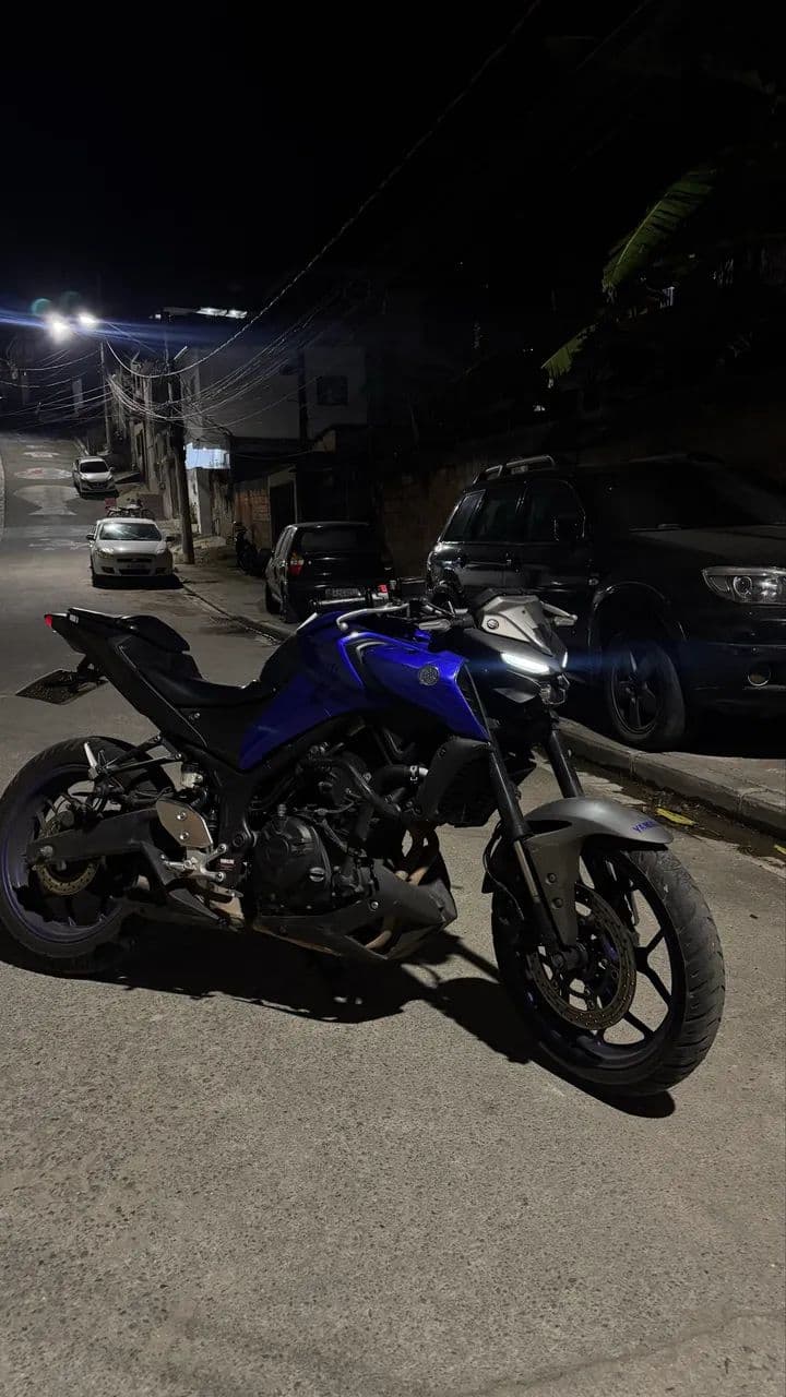 Mt03 