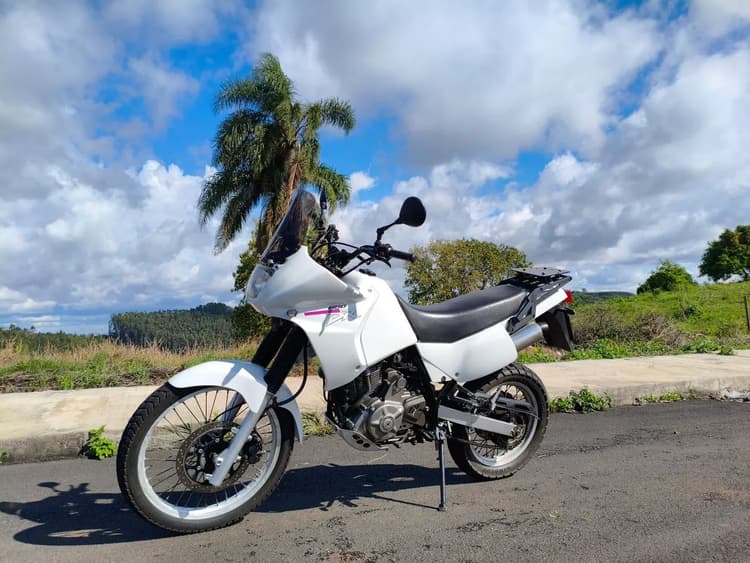 DR 650