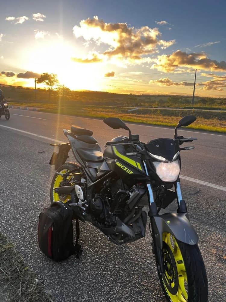 MT 03 2019