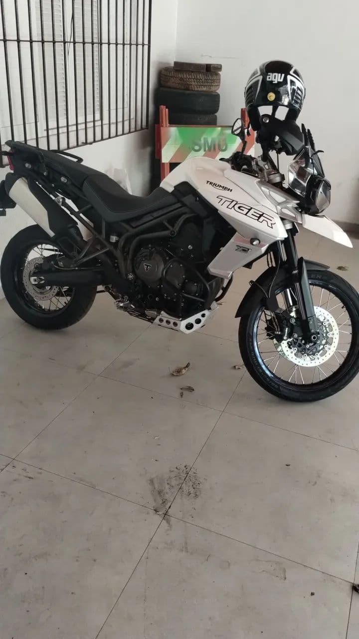 Tryump Tiger 
