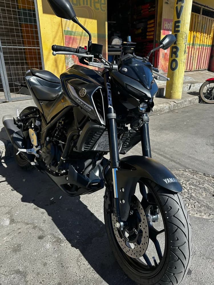 Mt 03 