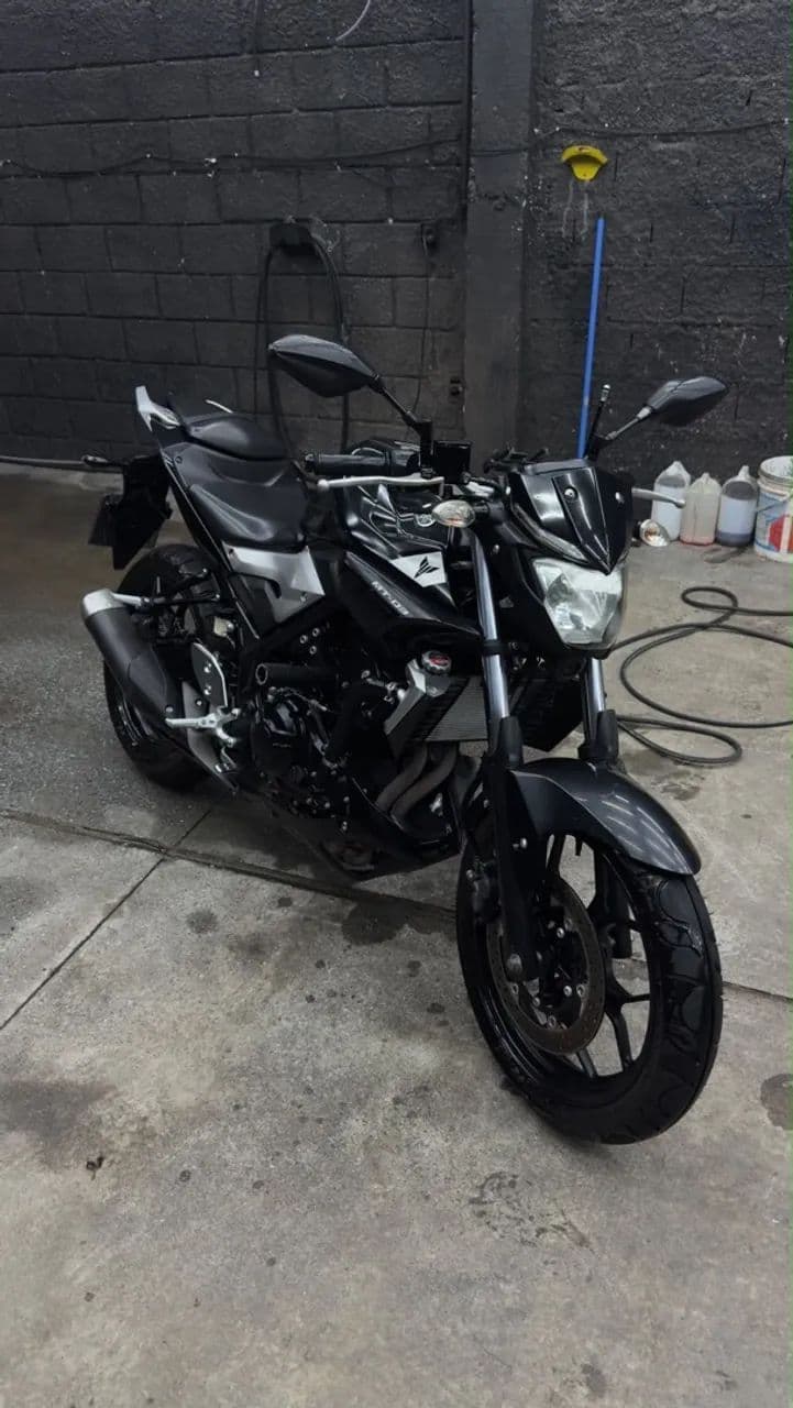 Mt03