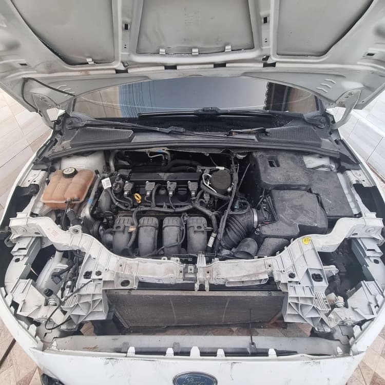 Ford Focus Fastback Se/se Plus 2.0 Flex Aut. 2016