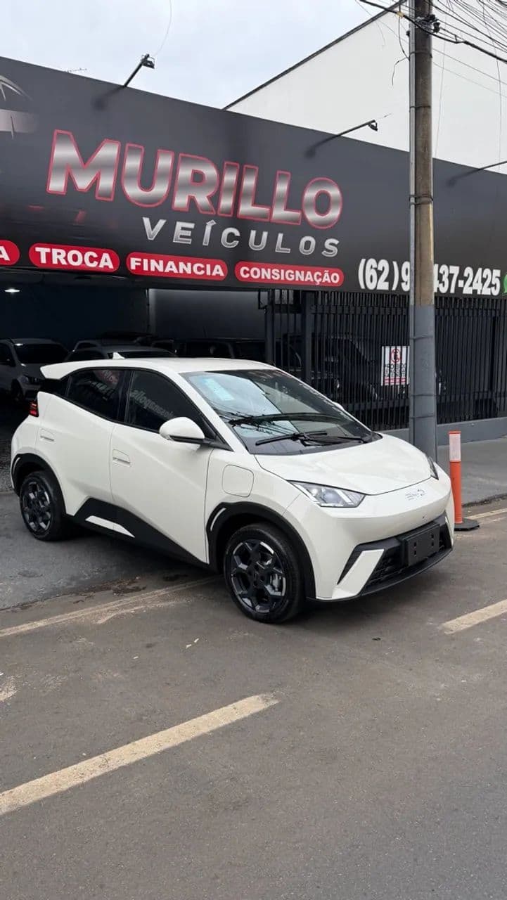 BYD Dolphin Mini (Elétrico) 2027