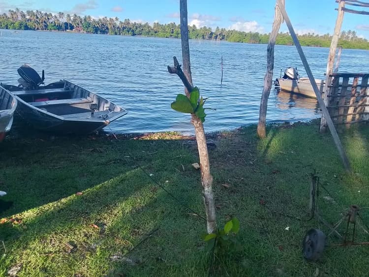 Vendo moto e um barco com motor 