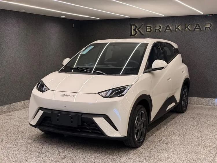 BYD Dolphin Mini (Elétrico) 2027