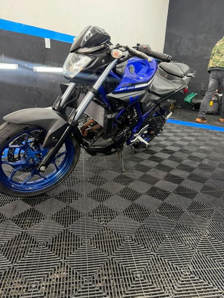 MT 03 